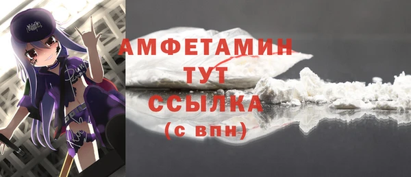 гидра Михайловка