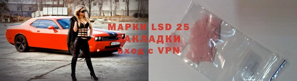 гидра Михайловка