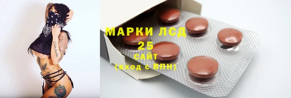 гидра Михайловка