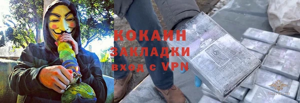 гидра Михайловка