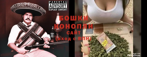 гидра Михайловка